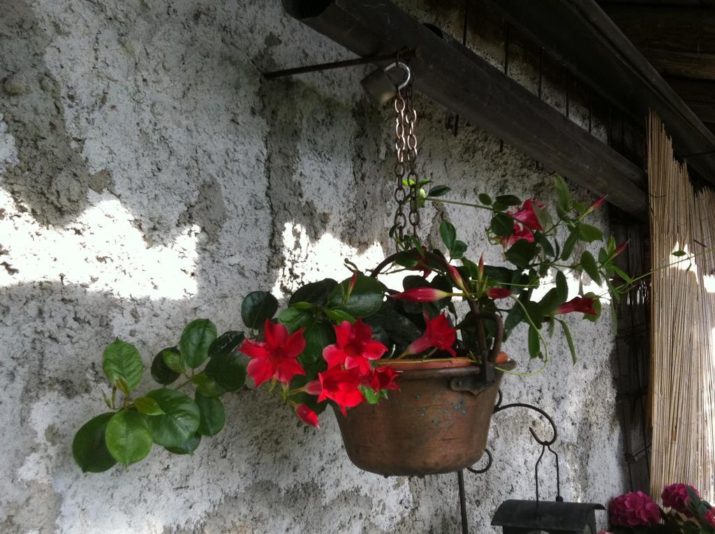 B&B Alba Sul Lago Pergine Valsugana Exterior photo